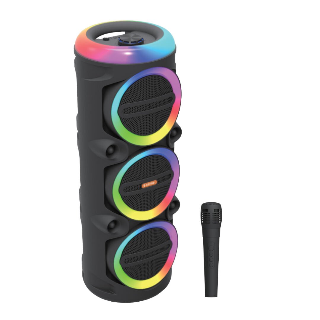 90W Taşınabilir Karaoke Hoparlör